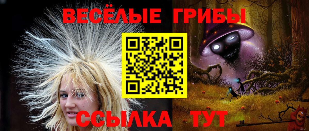 Галлюциногенные грибы ЛСД  Псилоцибиновые грибы мицелий  Искитим  Вход с VPN 